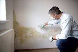 Reliable Germantown, MD Mold Removal & Remediation Solutions